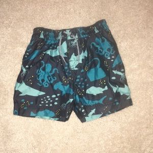 Tea swim trunks
